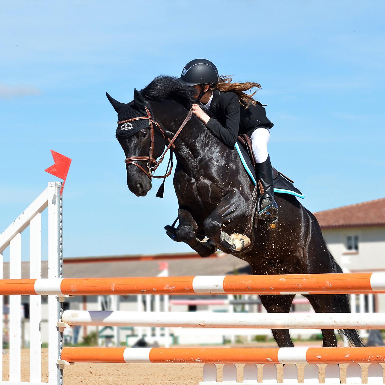 A horse and rider clearing a jump in a show-jumping ring